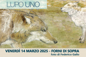 2025 - Lupo Uno - Forni di Sopra 14.03