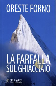 10-N_La farfalla sul ghiacciaio